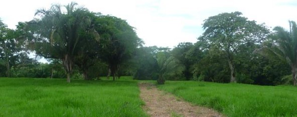 Convenient Commercial Lot - Hacienda Corotu 2 Ecoresort Hotel